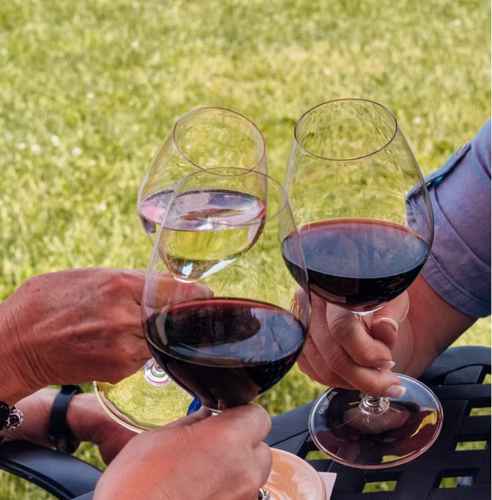 Hands raising glasses of red and white together on the lawn