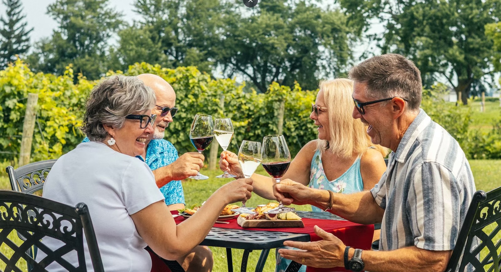 Four guests around an outdoor table with wine and a shared board, vines behind