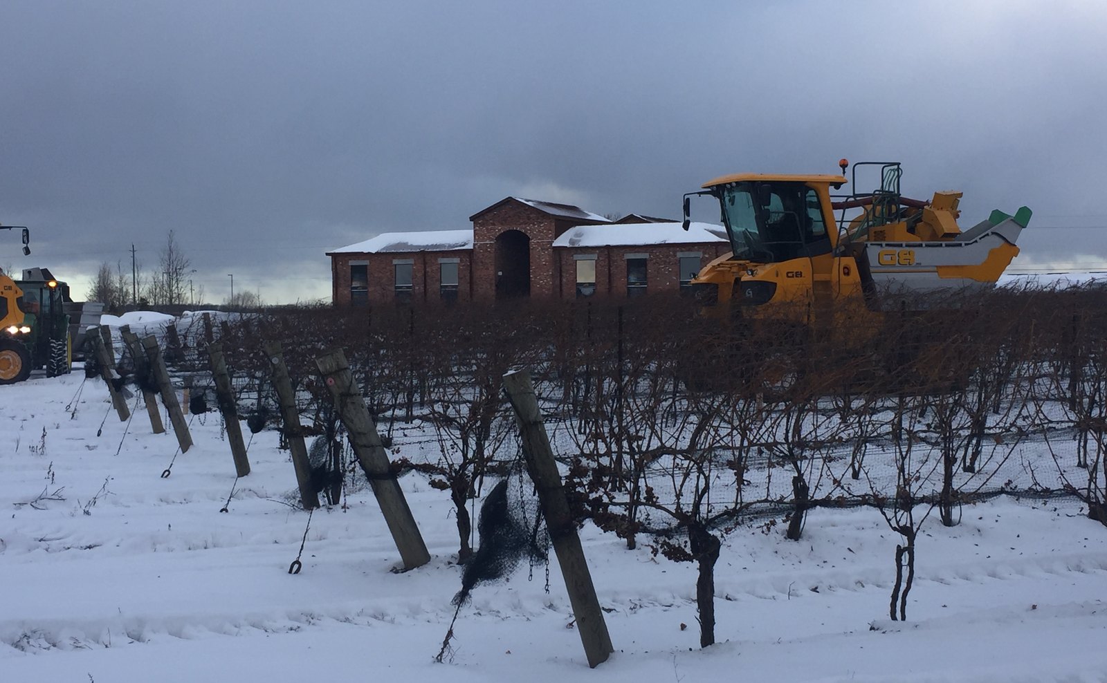 A harvester working the snow-covered vines, the winery beyond