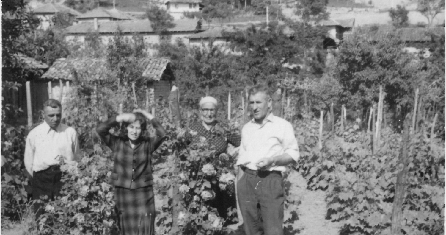 An old family photograph from the Bulgarian side, taken among the vines